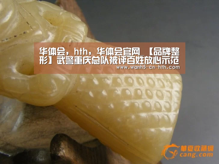 华体会，hth，华体会官网