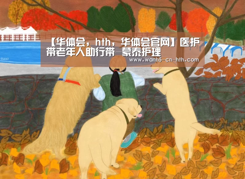 【华体会,hth,华体会官网】医护带老年人助行带-蒙泰护理(图1) 华体会,hth,华体会官网