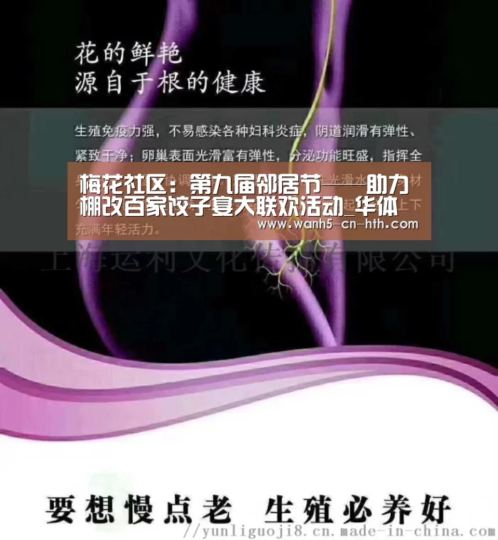 梅花社区:第九届邻居节——助力棚改百家饺子宴大联欢活动_华体会,hth,华体会官网(图4) 华体会,hth,华体会官网